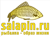 salapin.ru  -  